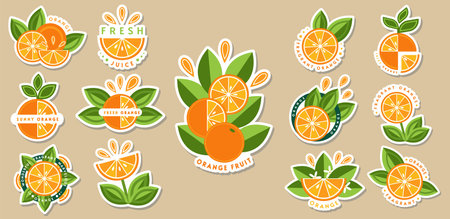Set of stickers with orange, green leaves, fruit slices. Flowers made of orange slices. Good for decoration of food packaging, groceries, agriculture stores, advertising. Flat styleのイラスト素材