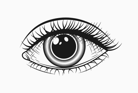 Single human eye with lashes. Direct camera look. Monochrome black and white detailed illustration. Engraving strokeのイラスト素材