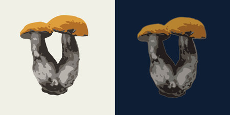 Two fused boletus mushrooms. Image tracing, cleaned and simplified illustration. Realistic style. Not AI.のイラスト素材