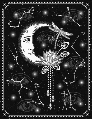 Magic poster, card with moon, zodiacal constellations, flying dragonfly, magic Lotus. All seeing eye on black background. Astrology, alchemy, boho, mystery concept.のイラスト素材