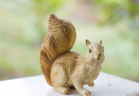 Squirrelの写真素材