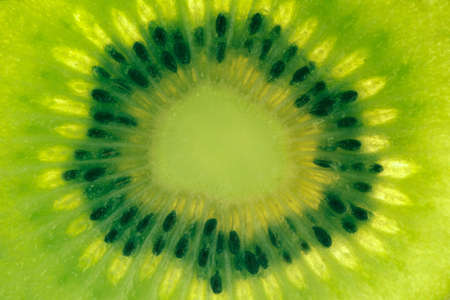 Close up of kiwi fruit slice centerの写真素材