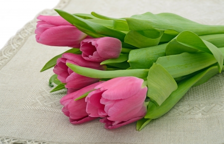 Pink tulips on grey embroidered tablecloth の写真素材