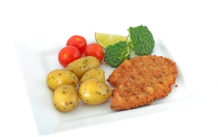 Turkey escalope meal isolated の写真素材