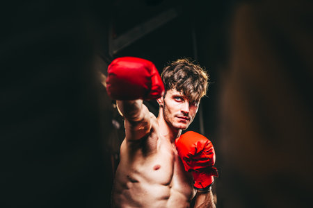 Boxers at the professional level routinely train by punching and kicking sandbags. To be successful in the individual's career, self-discipline, determination, and patience are essential qualities.の写真素材