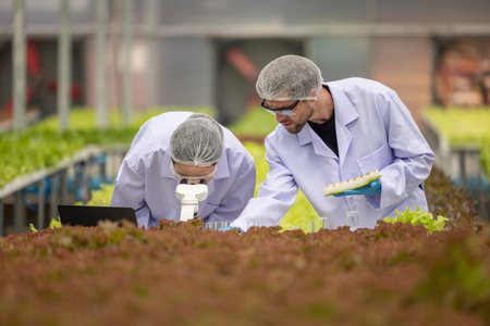 Hydroponic scientists and researchers do experiment using microscopes and magnifying glasses to...