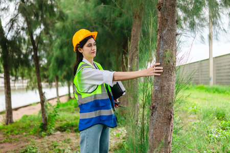 Female environmental engineer conducts field survey in pine forest, measuring, documenting tree...