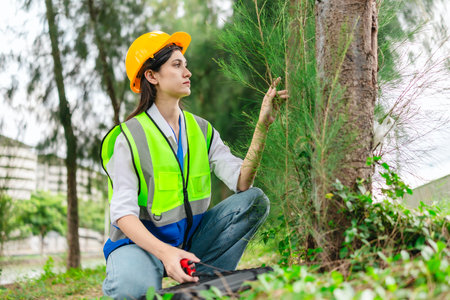 Female environmental engineer conducts field survey in pine forest, measuring, documenting tree diameter for carbon credit verification. Climate action, green forestry, ecological conservation effortsの写真素材