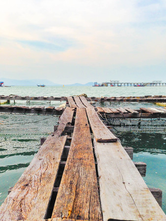 Bridge into the seaの写真素材