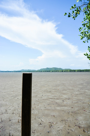 A scenery of dry bay with another side of mountain and forest and above is a big dense white cloud on a blue sky at mangrove forest in Chanthaburi, Thailand.の写真素材