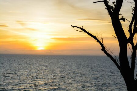 A scenery of sea at sunset with a shadow of tree at the side of photo in Chanthaburi, Thailand.の写真素材