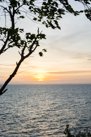 A shadow of tree in front of the sunset and a view of sea and mountain as a background at Chanthaburi, Thailand.の写真素材