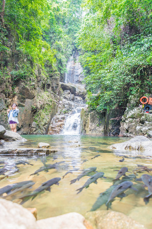 Waterfall with lots of black fish and rocks also a beautiful forest in Chanthaburi Thailand.の写真素材