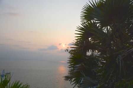 A sunshine through palm tree on a Phrmthep cape in Phuket, Thailand.の写真素材