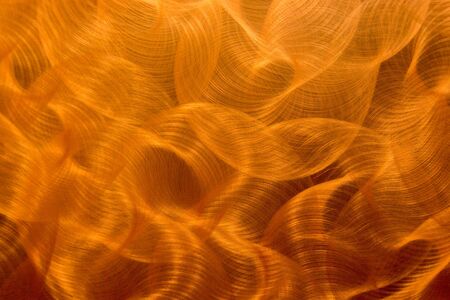 A curl shape texture in brown color.の写真素材