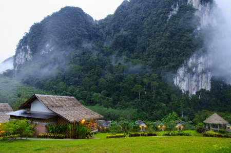 The Nature at KhaoSok , Thailandの写真素材