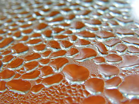 Condensate formed on the orange lid