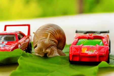 let the race beginの写真素材