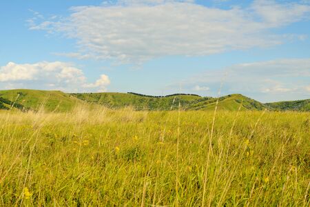 Hillsの写真素材