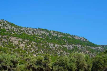 Mediterranean vegetationの写真素材