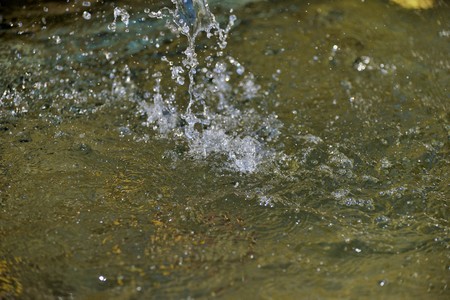 Water dropsの写真素材
