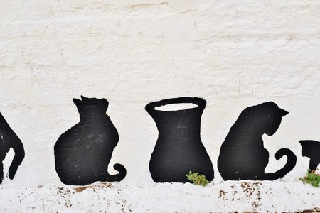Greek cats painted on the wall of a fence. The feline friends are all over Greece just waiting to snap up a tid-bit under the taverna table or find a shady spot to snooze all day...its a cat's life...の写真素材