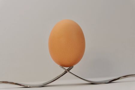 One egg and two forks, if an egg could send a message about its benefits