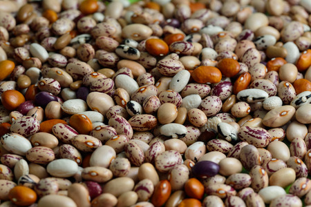 Colored beansの写真素材