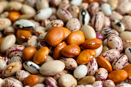 Colored beansの写真素材