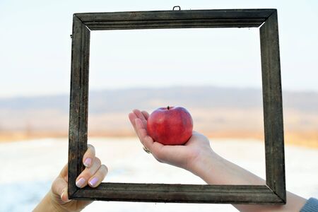 3d picture in nature. A red apple in one hand and an old frameの写真素材