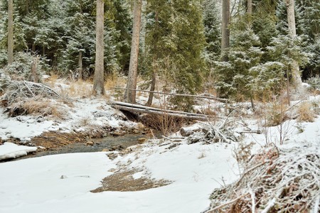 Bridge over a creek in the woods in winterの写真素材