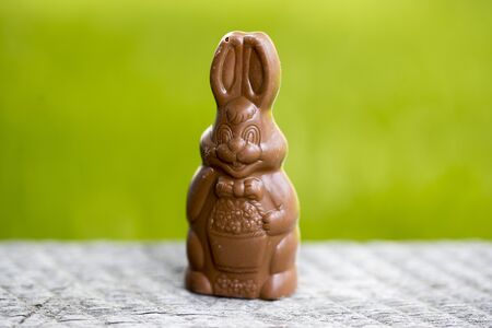 Chocolate bunny on green backgroundの写真素材