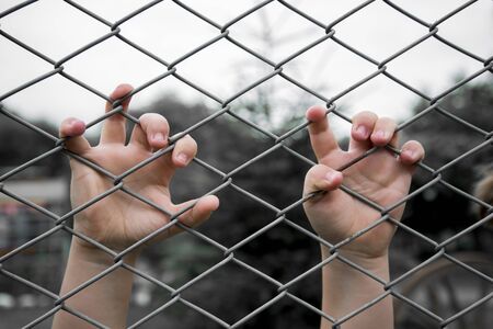 The hands of children on the fenceの写真素材