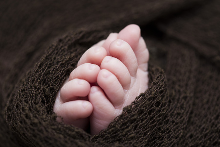 Baby feet in wrap for newborn photographyの写真素材