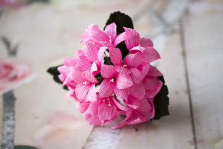 Paper flowers are perfect for bringing spring inside any time of the year. They're fun to create, look beautiful once complete and, better still, they last longer than fresh flowers!の写真素材