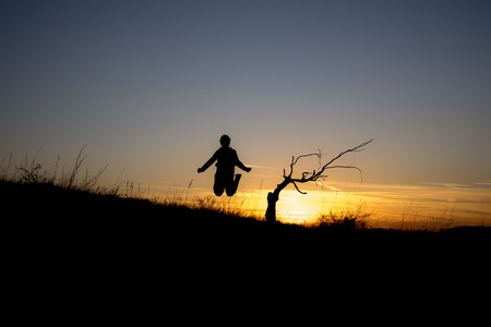 A dry tree on a hill at sunset at the beginning of October and a child jumping into the airの写真素材