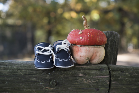 A small pumpkin and baby shoes on a fence at a maternity photosessionの写真素材