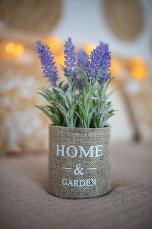 Lavender as a decoration in the bedroom has a romantic airの写真素材