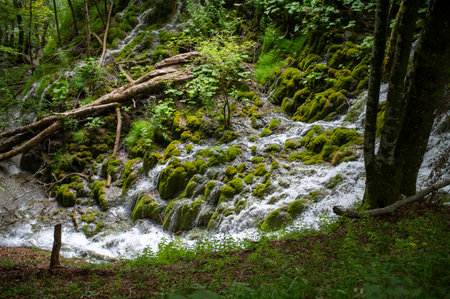 beautiful waterfall in the forest with green moss and rocks in summerの写真素材