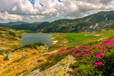 Beautiful view of a glacial lake in the mountains under cloudy sky. View of Bucura lake located in Retezat mountains in Romania. View of a mountain lake in a rainy day.の写真素材