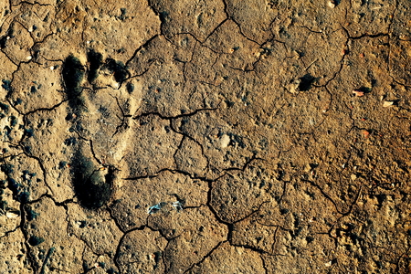 In summer my foot on land. footprint on arid land .の写真素材