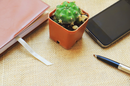camera Cactus and note book.の写真素材