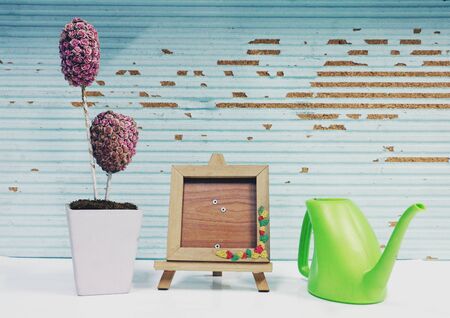 picture frame ,  watering  and plant in wood background.の写真素材