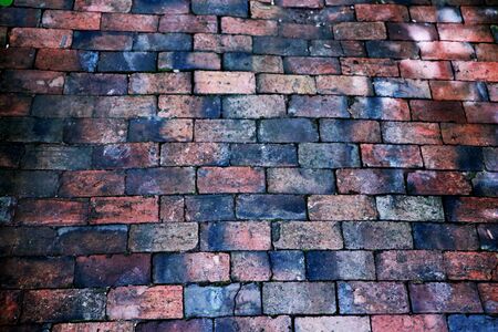 Brick walkway .Old brick for walking in my home.