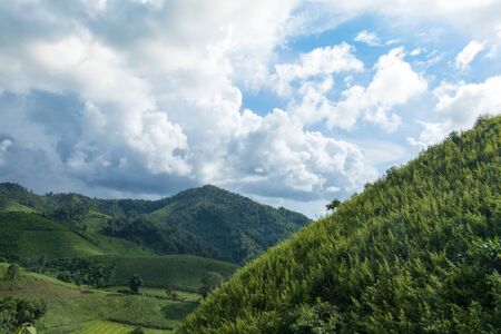 In national park Thailand landscape.Mountain and blue sky. Cloudy and trees,fresh air,good time.Doi...