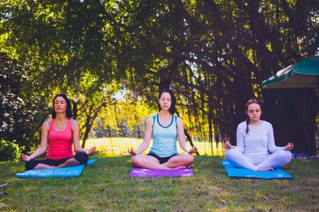 Group people doing yoga in park. They are sleeping on mat and doing yoga in morning.they are relax time and good health.Photo concept yoga and good health.の写真素材