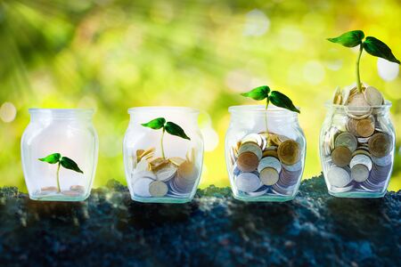 The coins and  plant in bottle on green background. The plant is grown by the coins which are like...