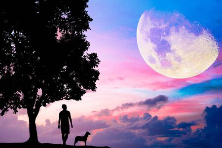 Lonely man standing under big tree with old bench.He is unhappy and sad. He.Photo concept for Silhouetted and depression.の写真素材