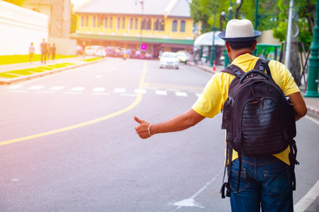Green leaves background. Green leaves color tone dark  in the morning.Tropical Plant,environment,photo concept nature and plant.の写真素材
