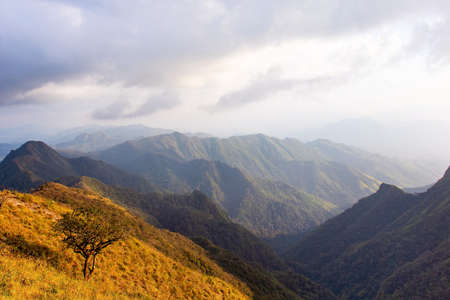 Blue sky and Yellow field with white clouds.landscape picture In Thailand.The Mountain nameâDoi Luangâ in Tak Province Thailand.の写真素材
